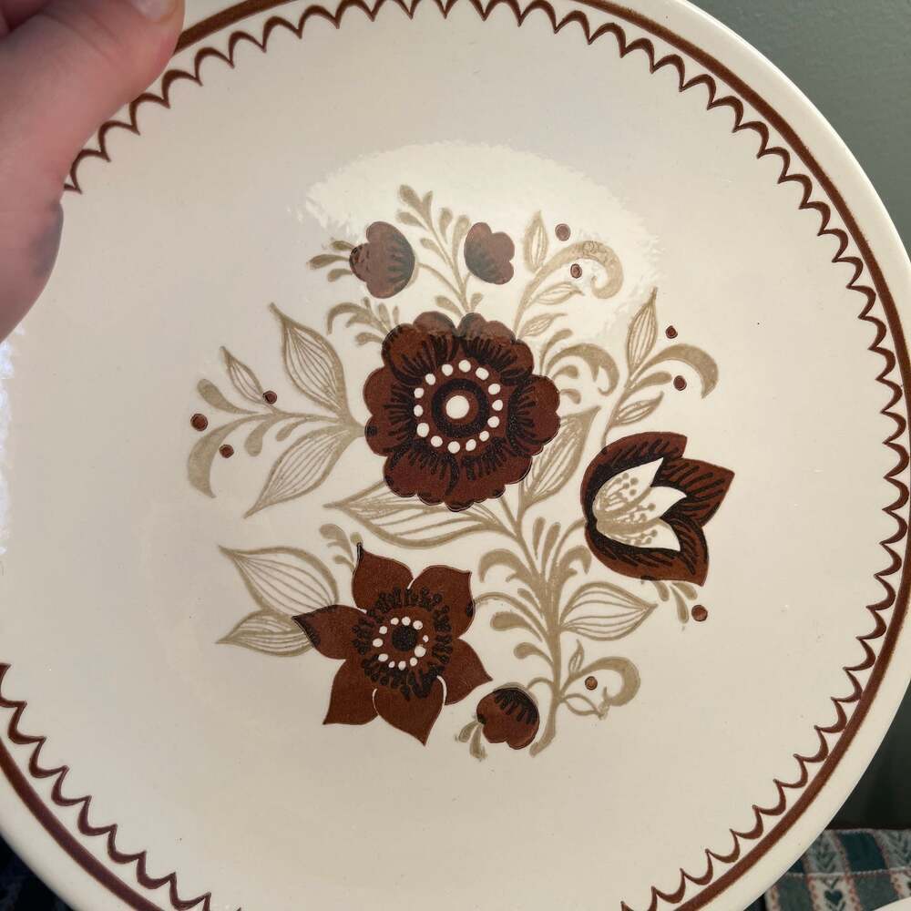 USA Nutmeg (4) 10" Dinner Plates and vegetable bowl
